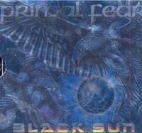 Black Sun